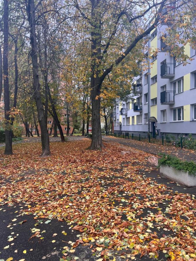 Yellow Apartment Airport Galeria Mokotow Netflix Варшава Екстер'єр фото